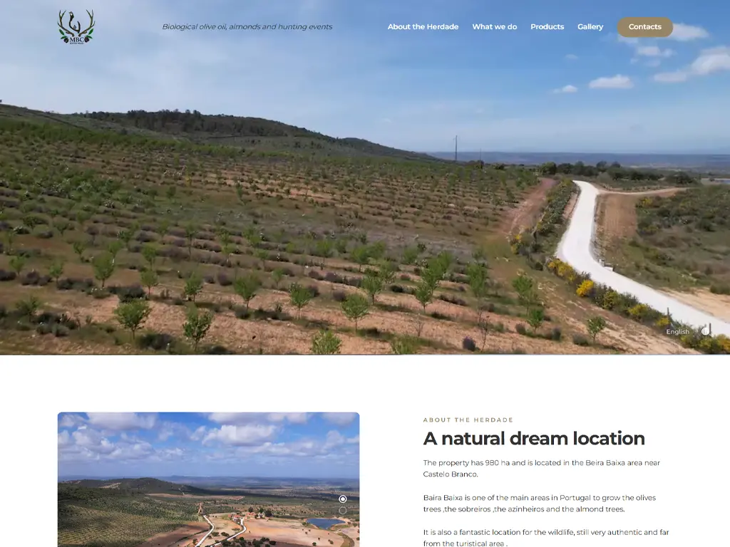 Website e Conteúdos Multimédia